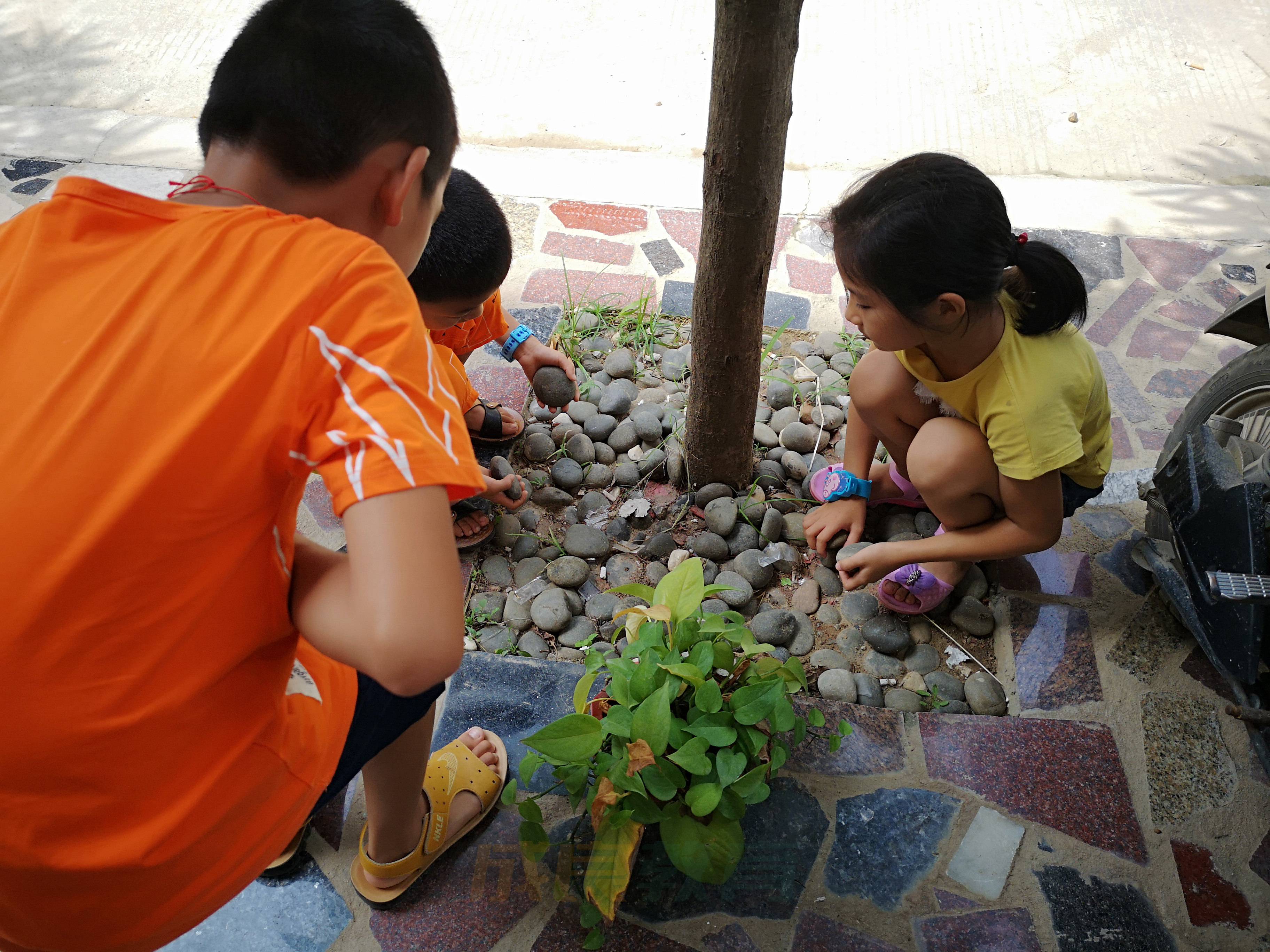 燃榜教育（原成良教育）2018年成长记录-燃榜教育