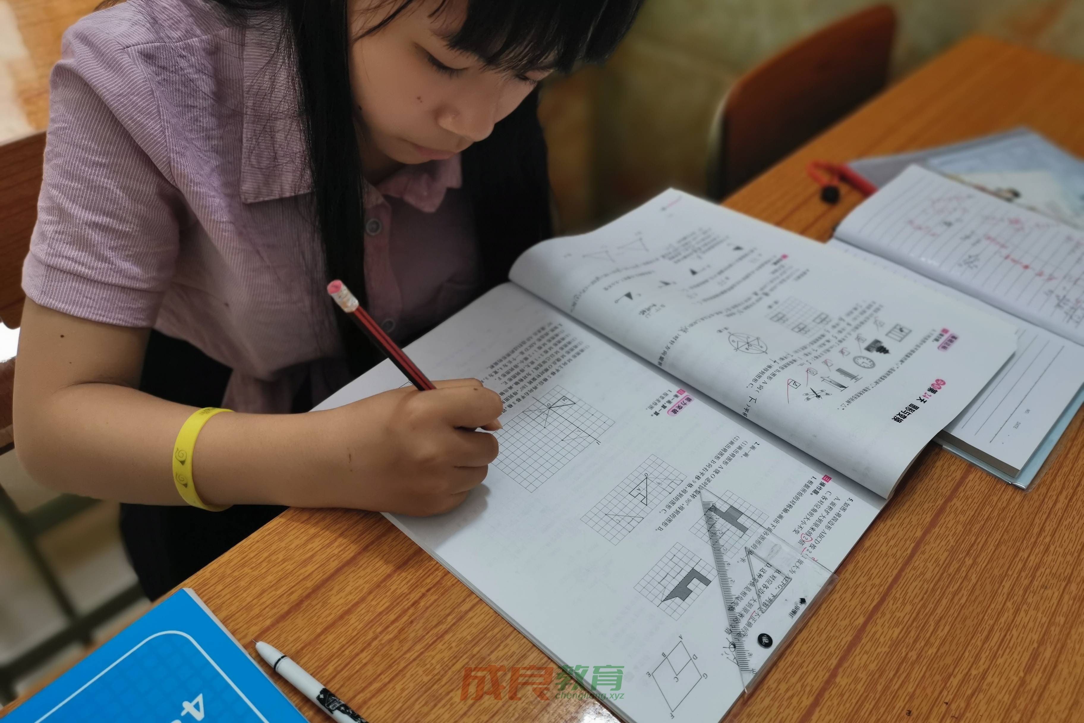 燃榜教育（原成良教育）2019年成长记录影集-燃榜教育